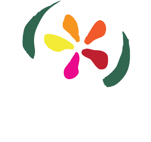 Premier Service