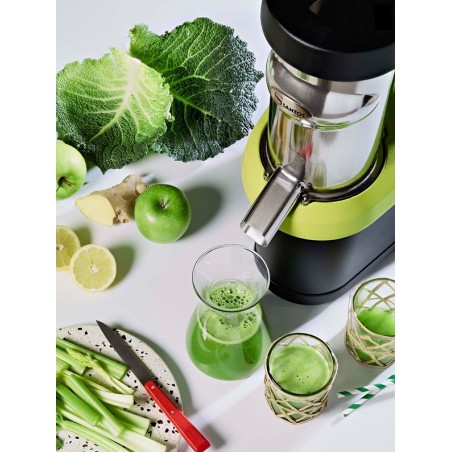 Extracteur de jus Nutrisantos 65