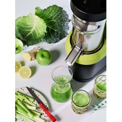 Extracteur de jus Nutrisantos 65